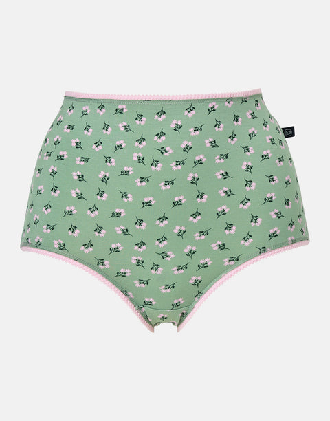 Multipack! 4 Pairs of Women's Bamboo Full Briefs – Juniper