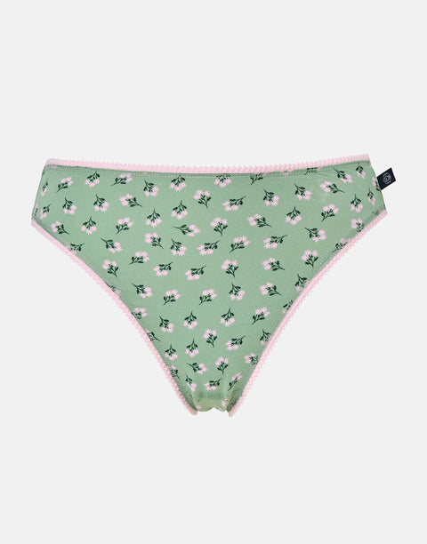 Multipack! 4 Pairs of Women's Bamboo High Leg Knickers – Juniper