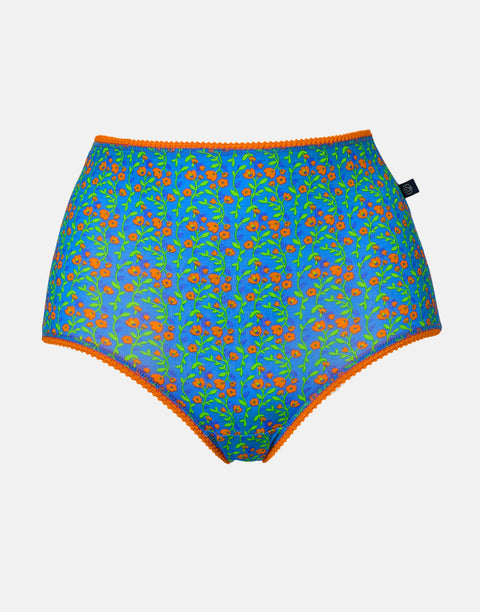 Multipack! 4 Pairs of Women's Bamboo Full Briefs – Boom Bloom!