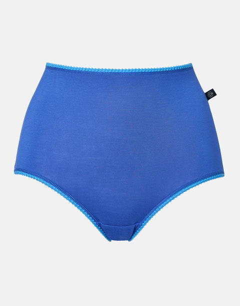 Multipack! 4 Pairs of Women's Bamboo Full Briefs – Perfect Day