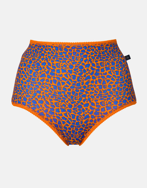 Multipack! 4 Pairs of Women's Bamboo Full Briefs – Wild Cat